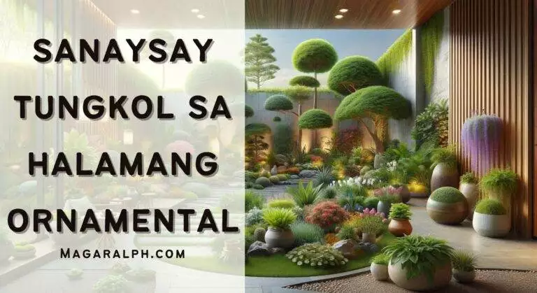 Sanaysay Tungkol sa Halamang Ornamental