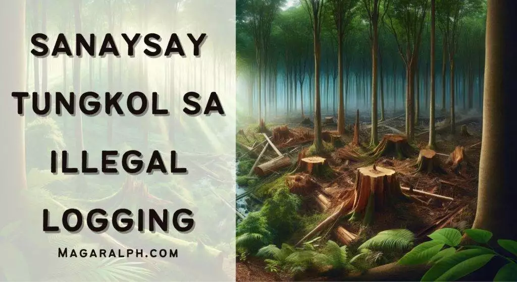 Sanaysay Tungkol sa Illegal Logging